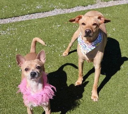 Buddy Athens thumbnail 3