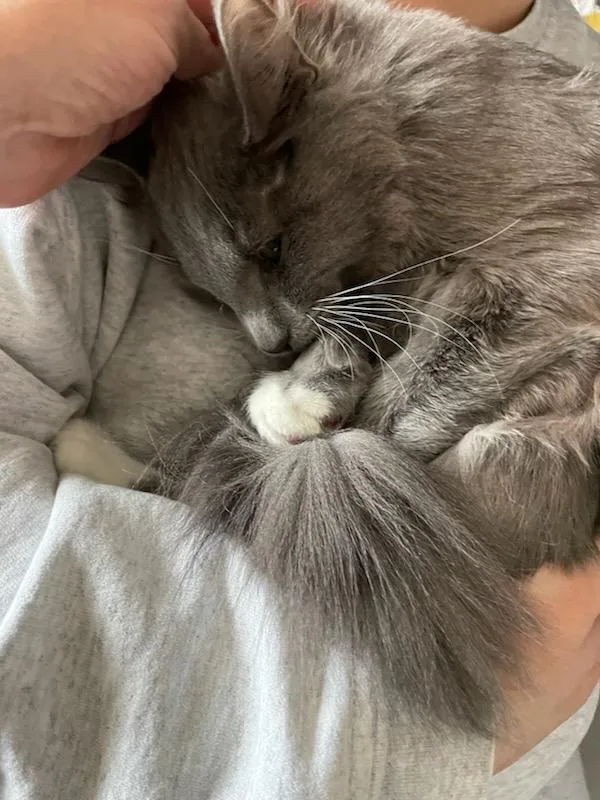 Paddy & Winnie thumbnail 3