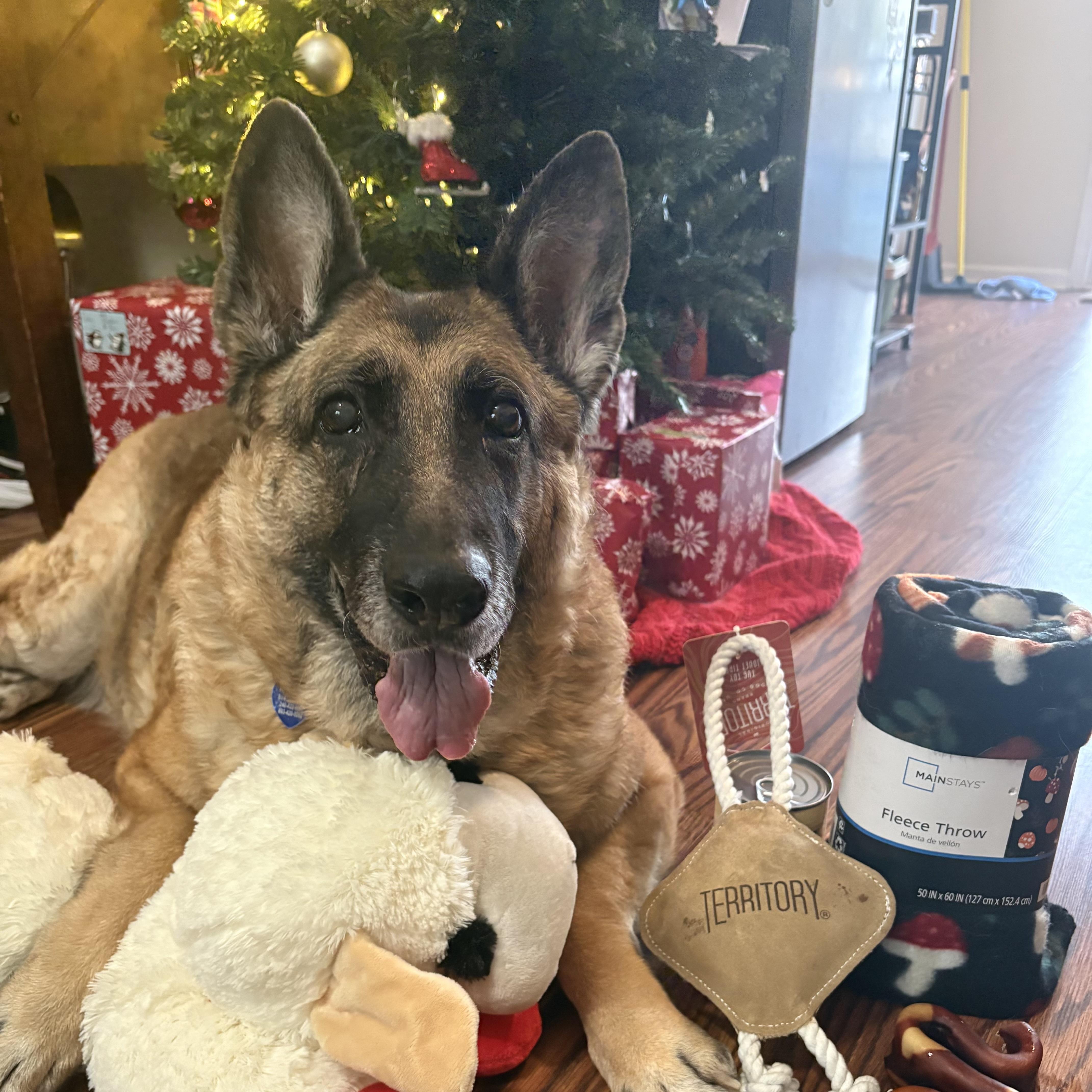 Iridessa thumbnail 2