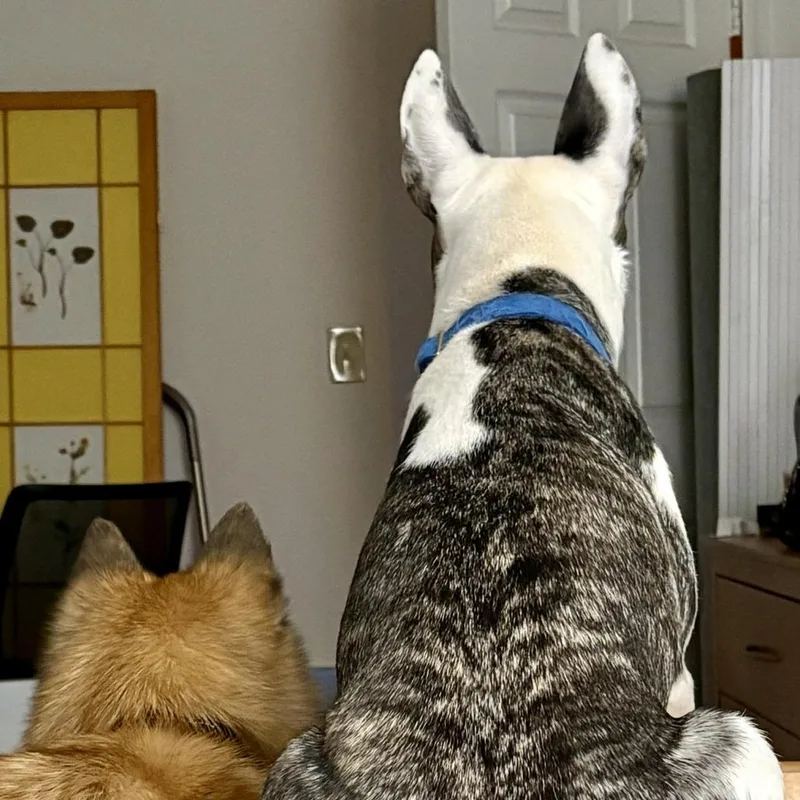 Waverlie thumbnail 5