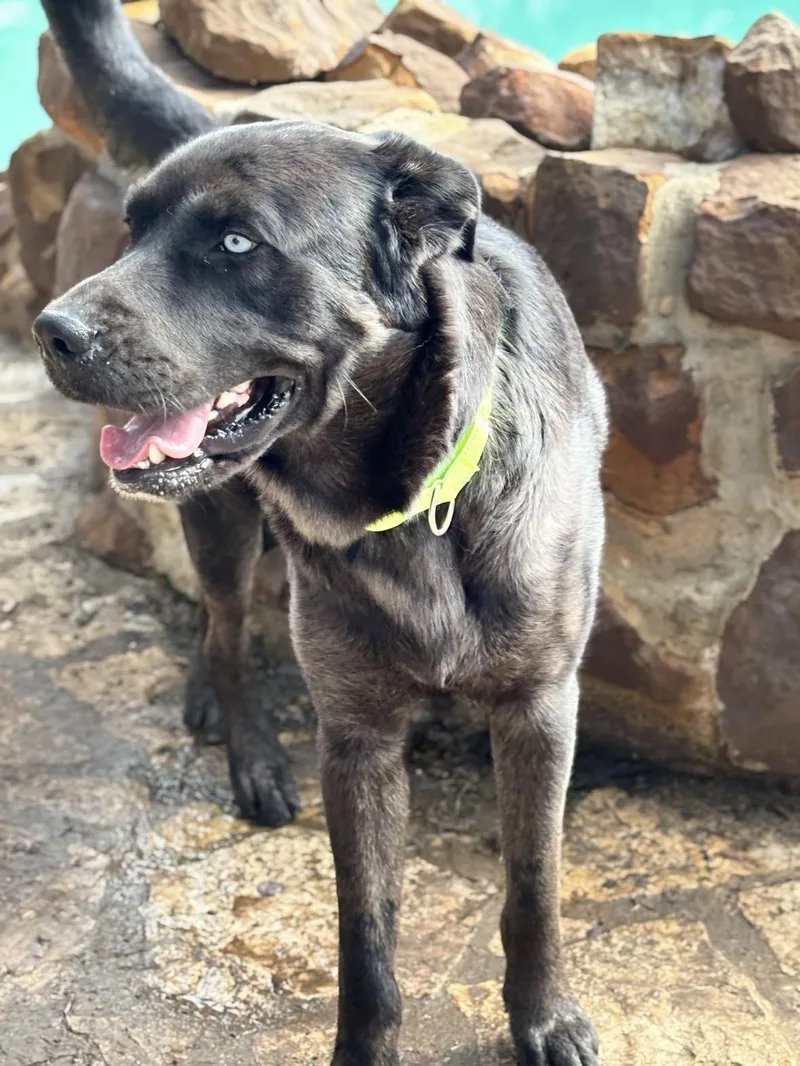 Brian And Sky thumbnail 2