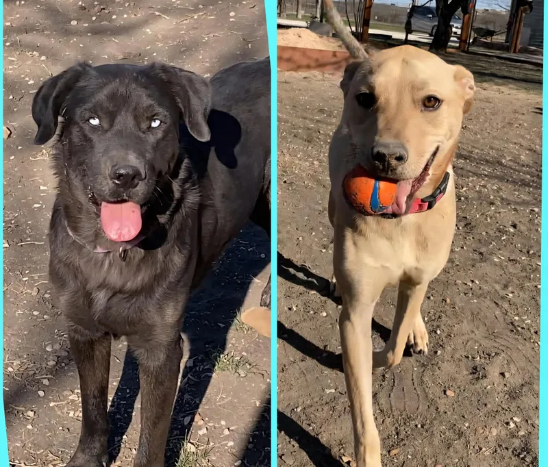 Brian And Sky thumbnail 3