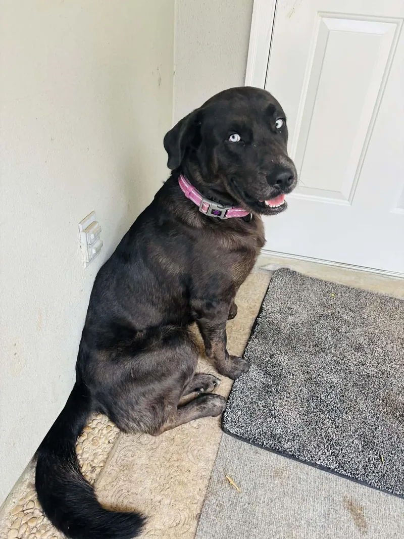 Brian And Sky thumbnail 4