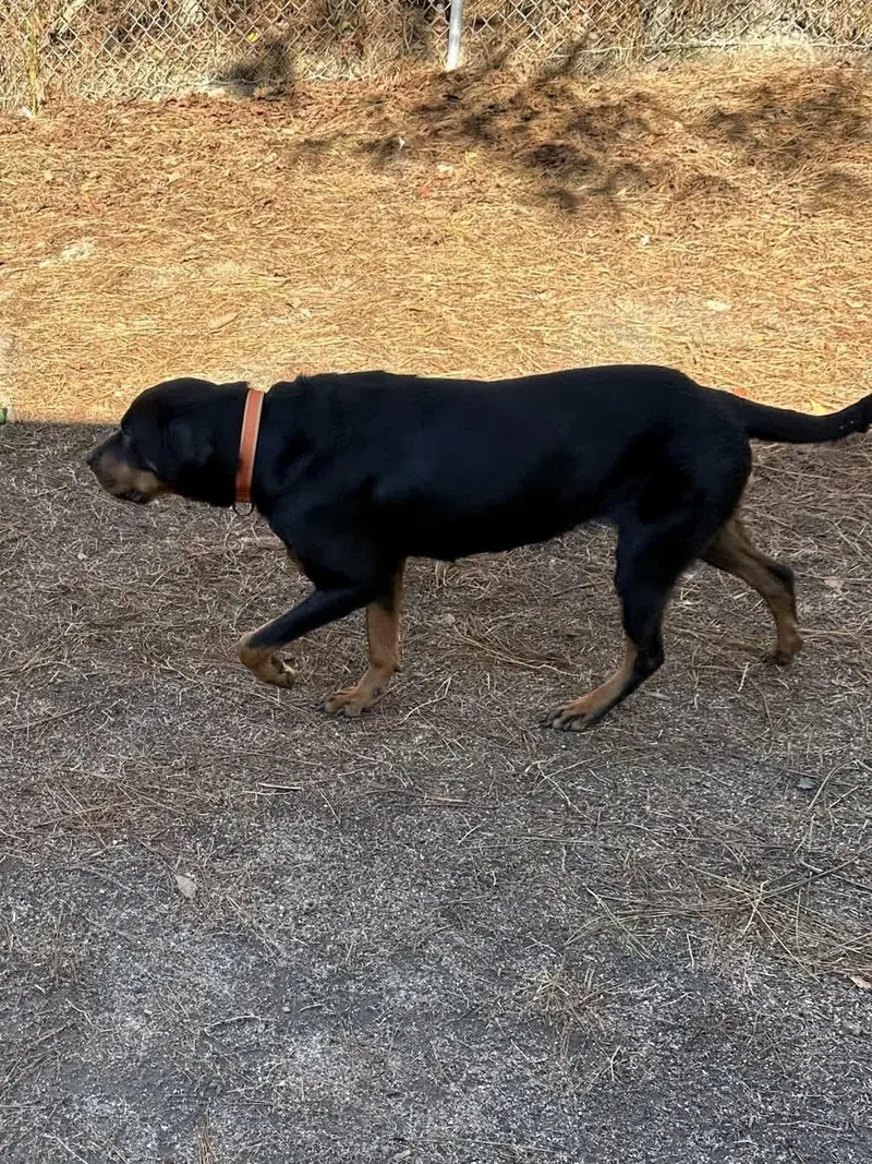 Maggie Mae thumbnail 2