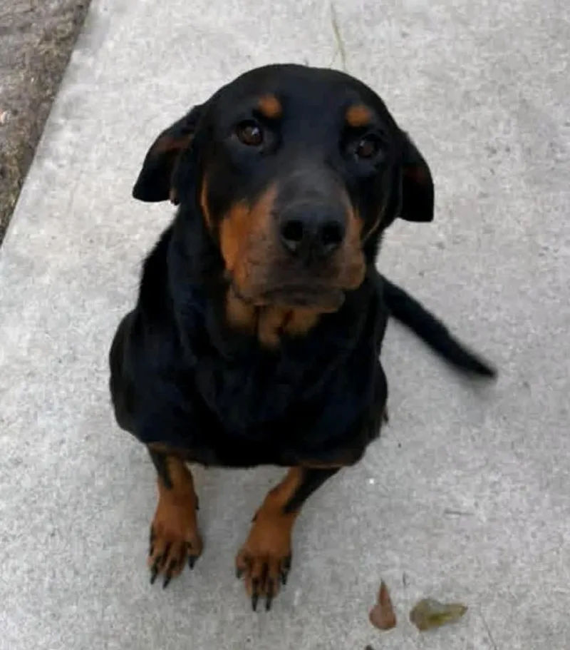 Maggie Mae thumbnail 3