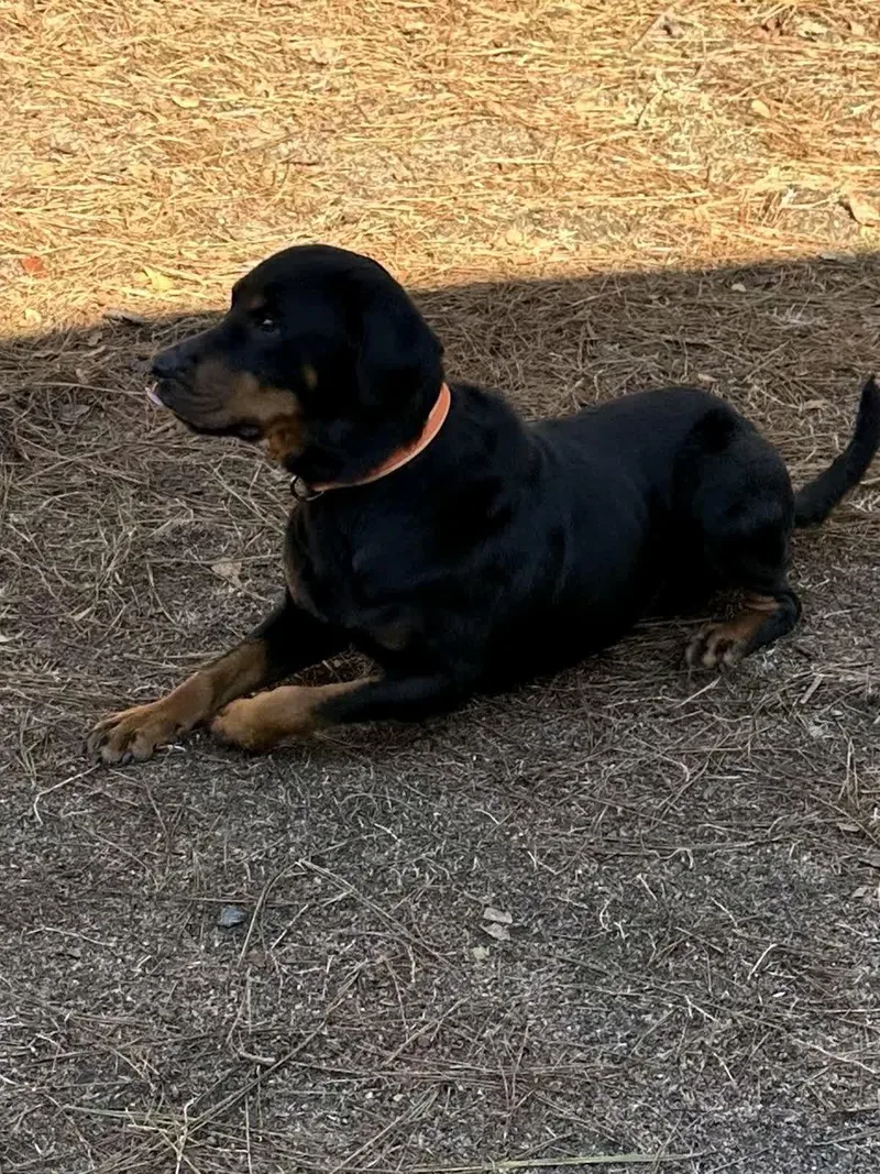 Maggie Mae thumbnail 5