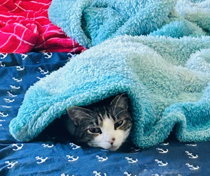 Rileevideo thumbnail 2