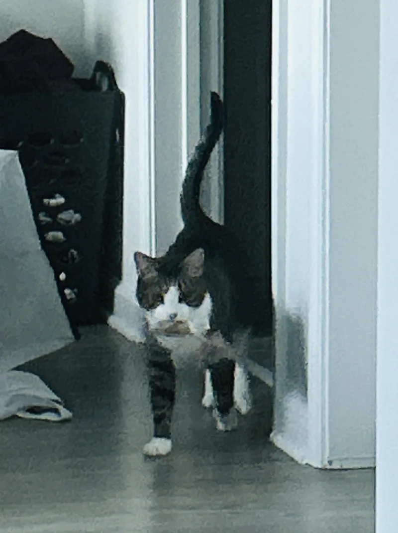 Rileevideo thumbnail 4