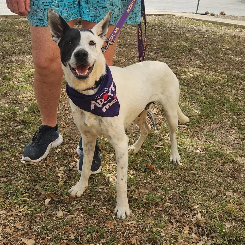 Myrtle Jum thumbnail 2