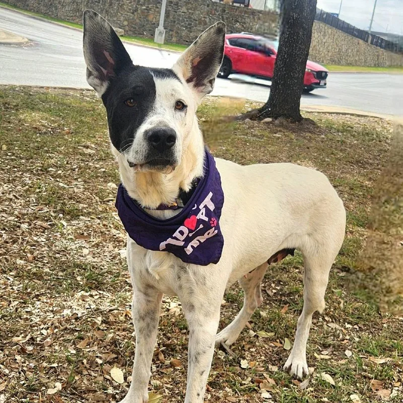 Myrtle Jum thumbnail 3