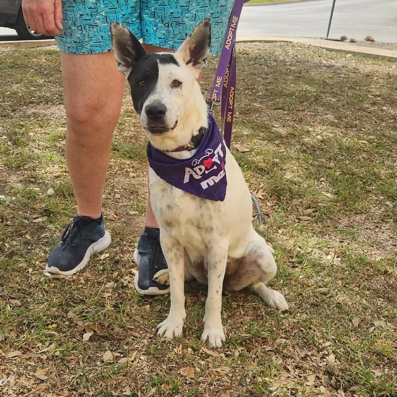 Myrtle Jum thumbnail 4