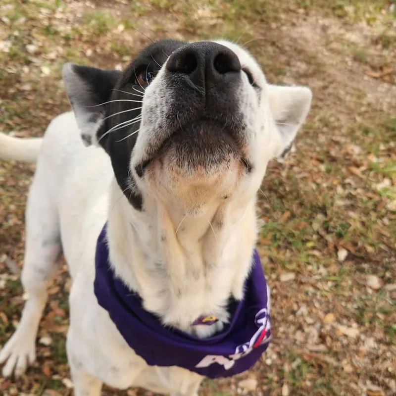 Myrtle Jum thumbnail 5