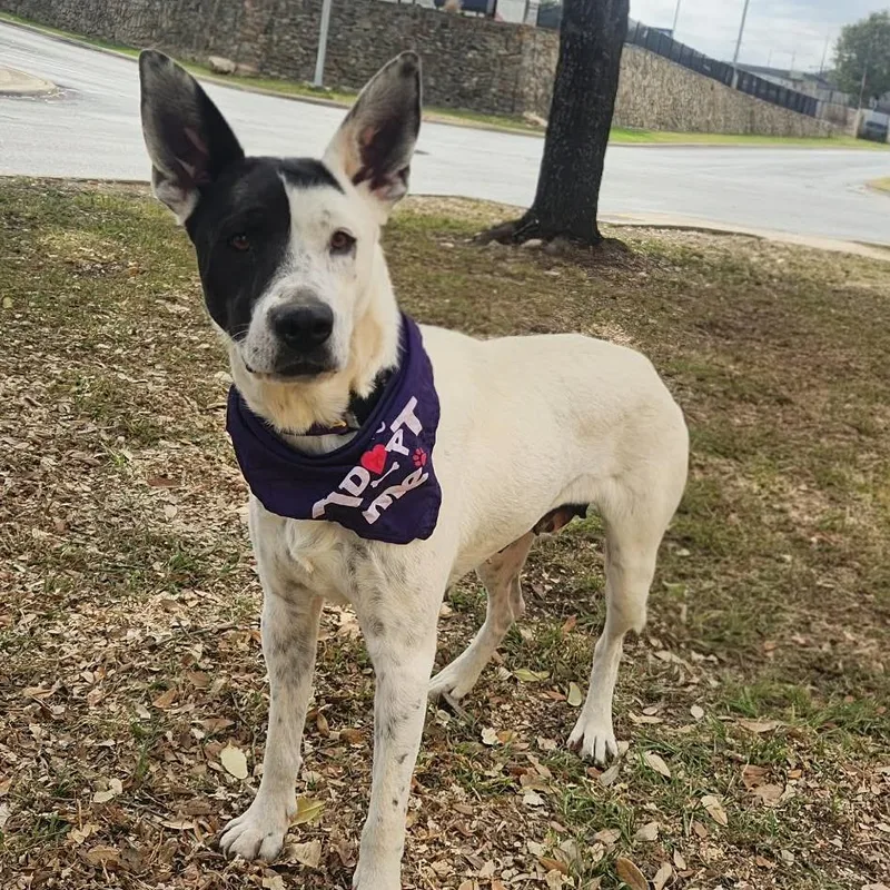 Myrtle Jum thumbnail 6