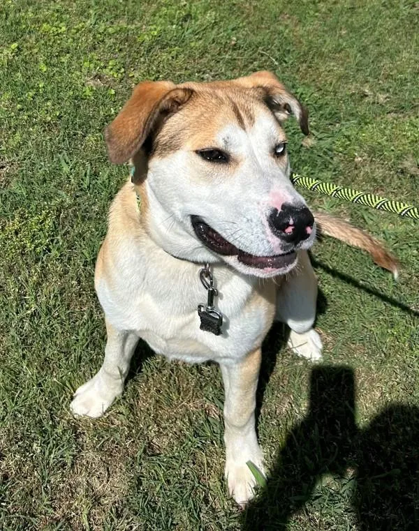 Pen C Chase thumbnail 2