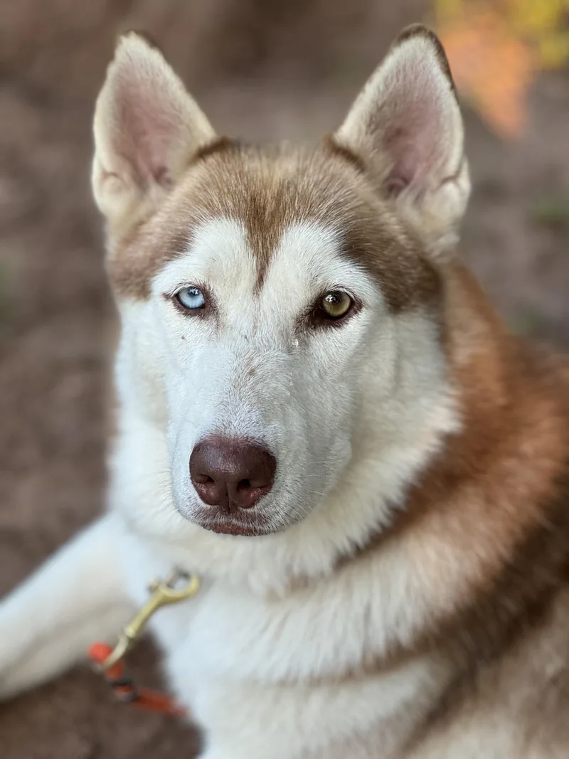 Samantha Eileen thumbnail 2