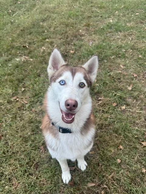 Samantha Eileen thumbnail 4