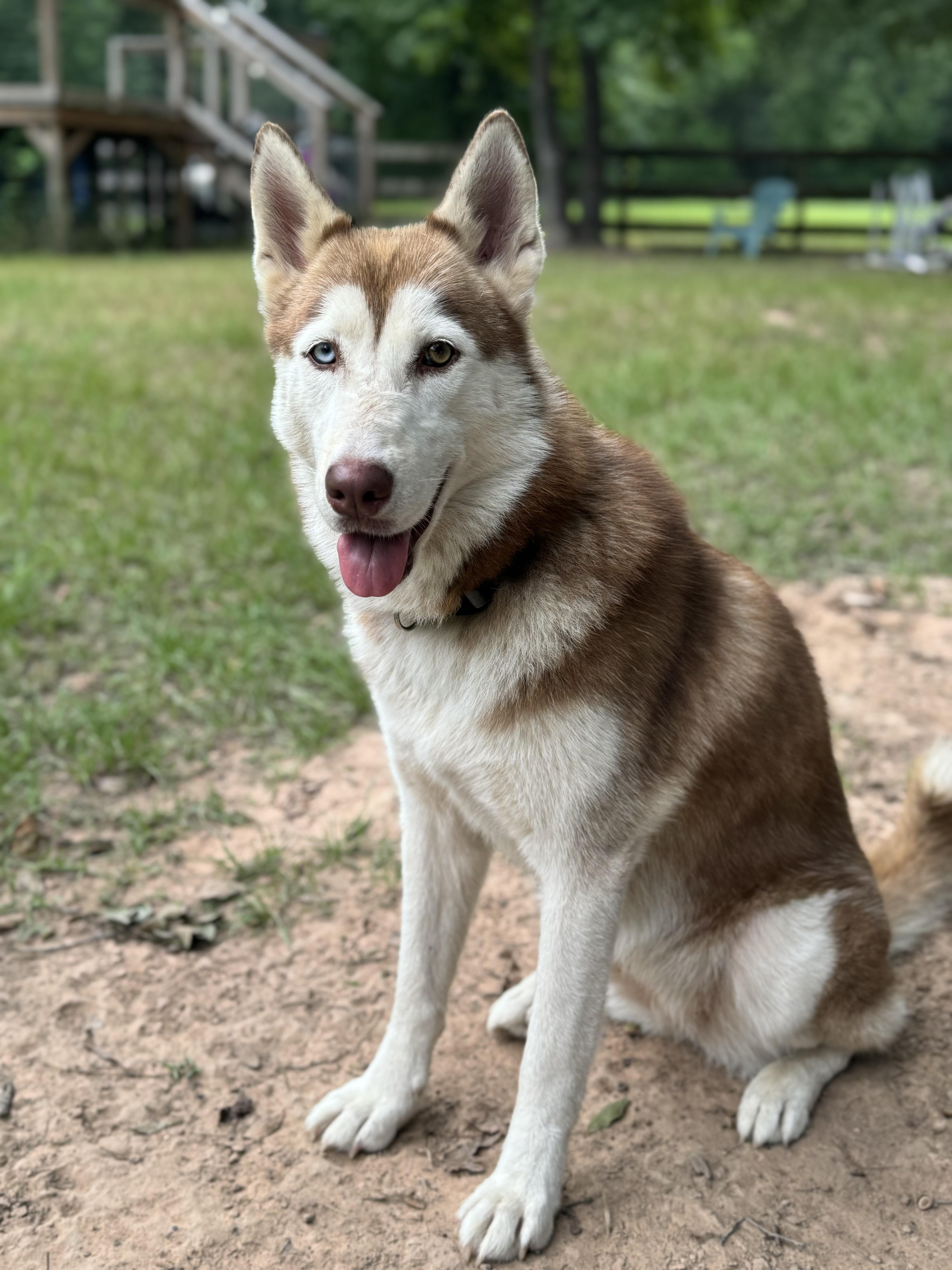 Samantha Eileen thumbnail 5