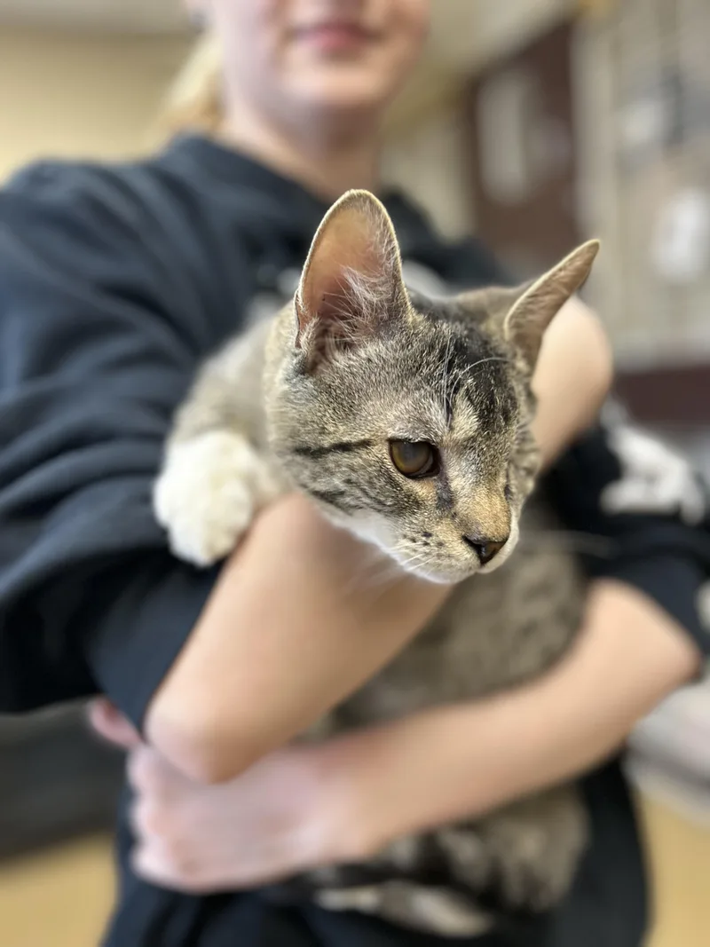 Mayor Who thumbnail 2