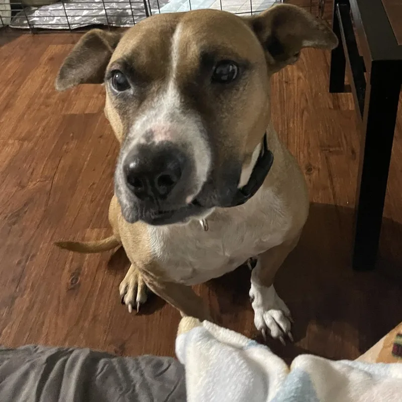 Brooklyn thumbnail 2