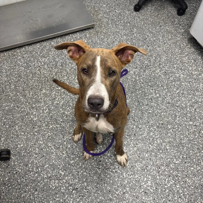 Little Girl thumbnail 2