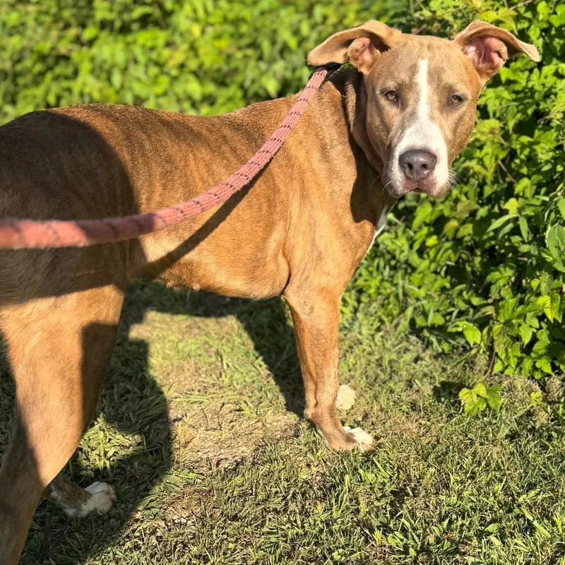 Little Girl thumbnail 3