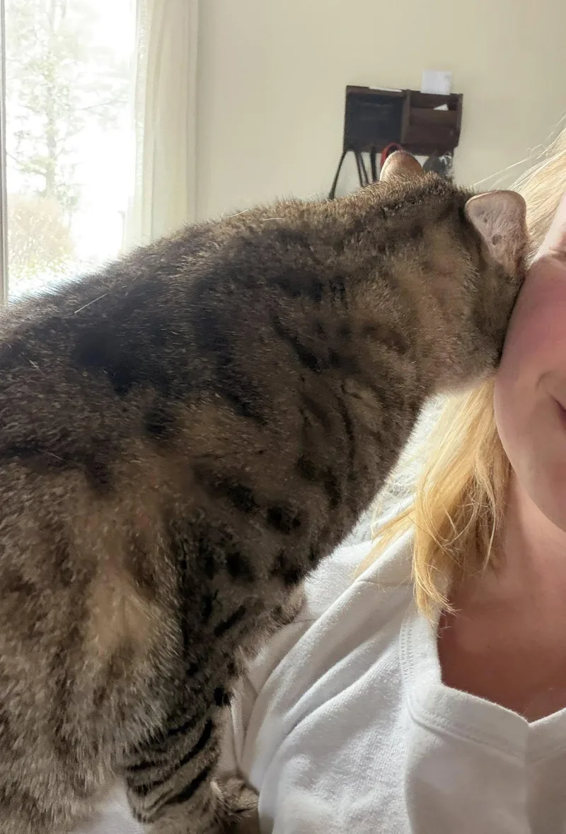 Pistachio thumbnail 5