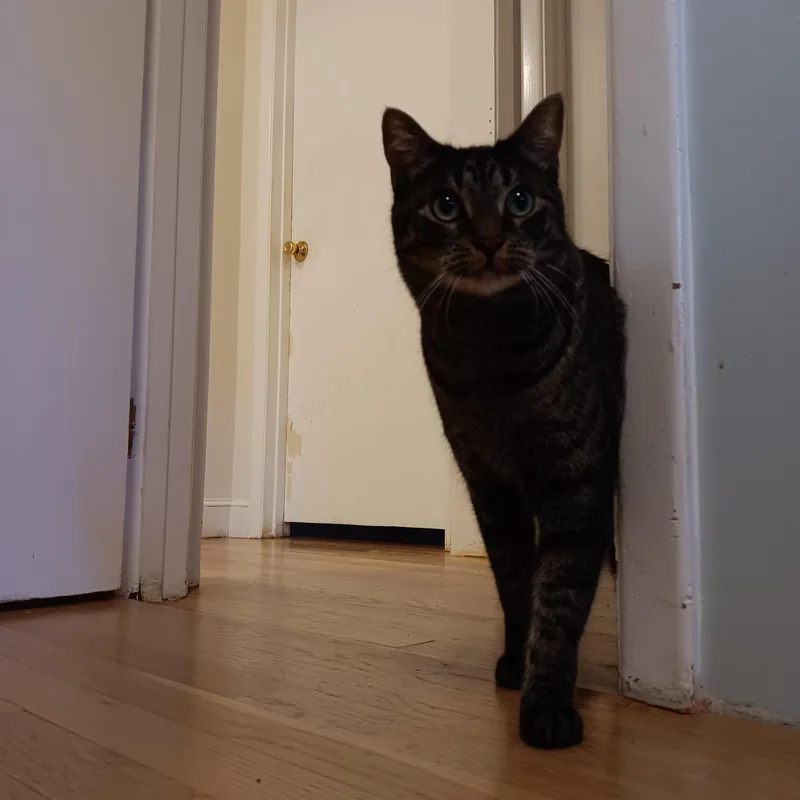 Lucy And Amber thumbnail 2