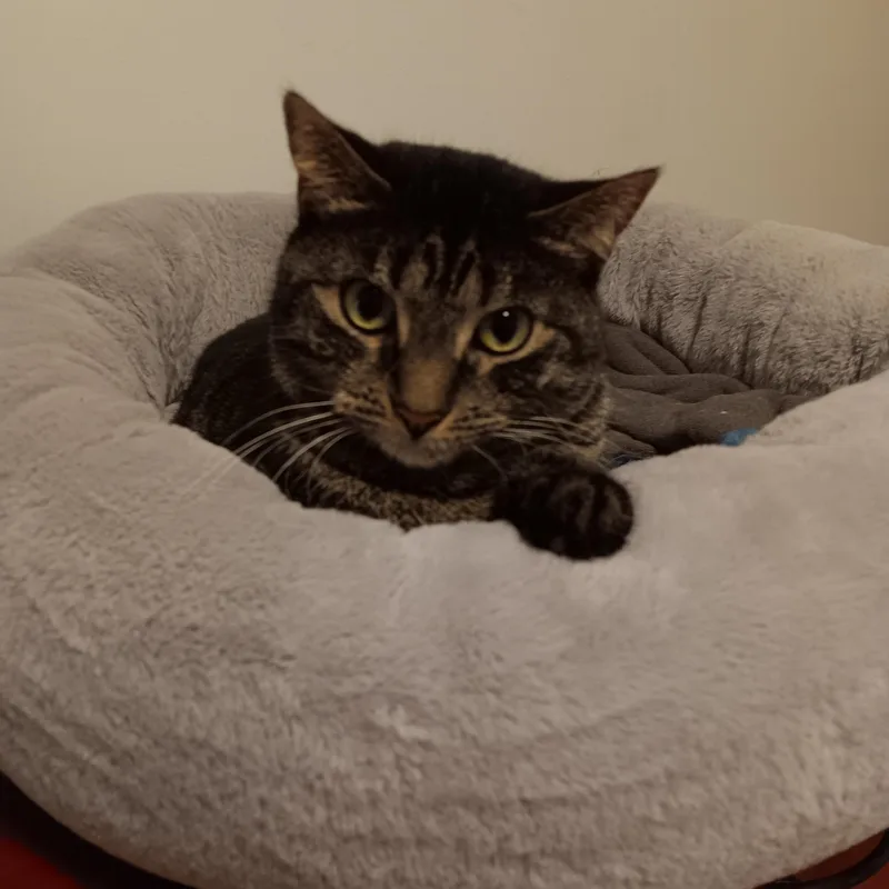 Lucy And Amber thumbnail 3