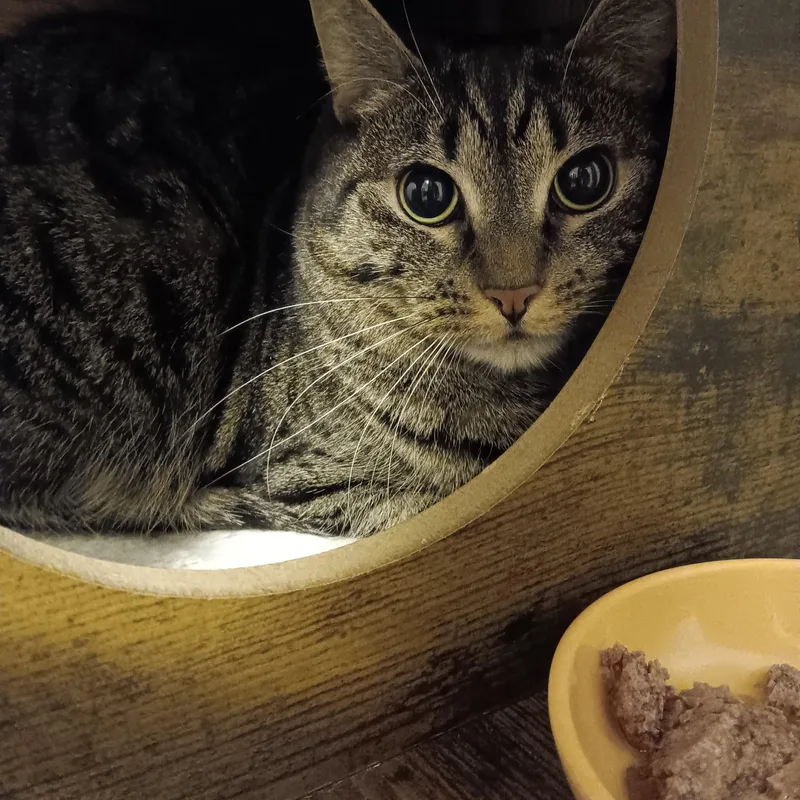 Lucy And Amber thumbnail 4