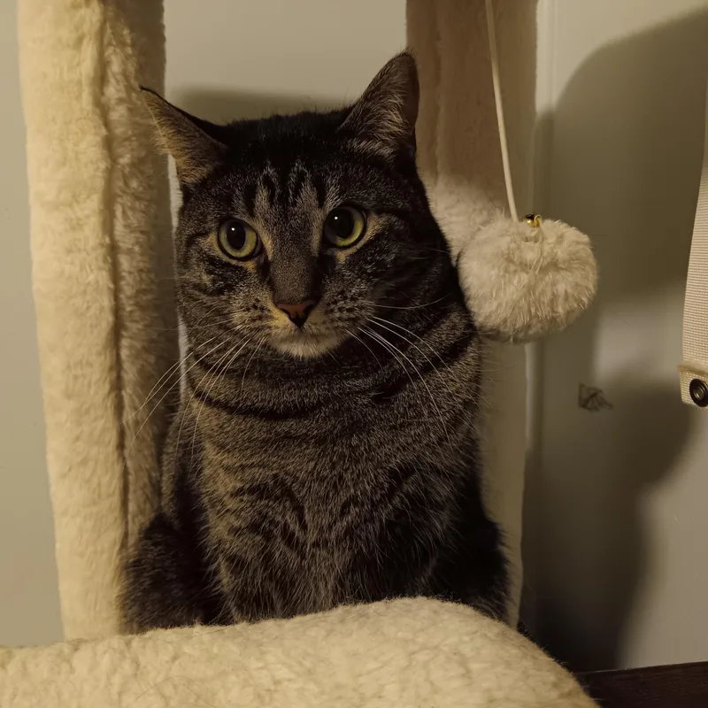 Lucy And Amber thumbnail 5