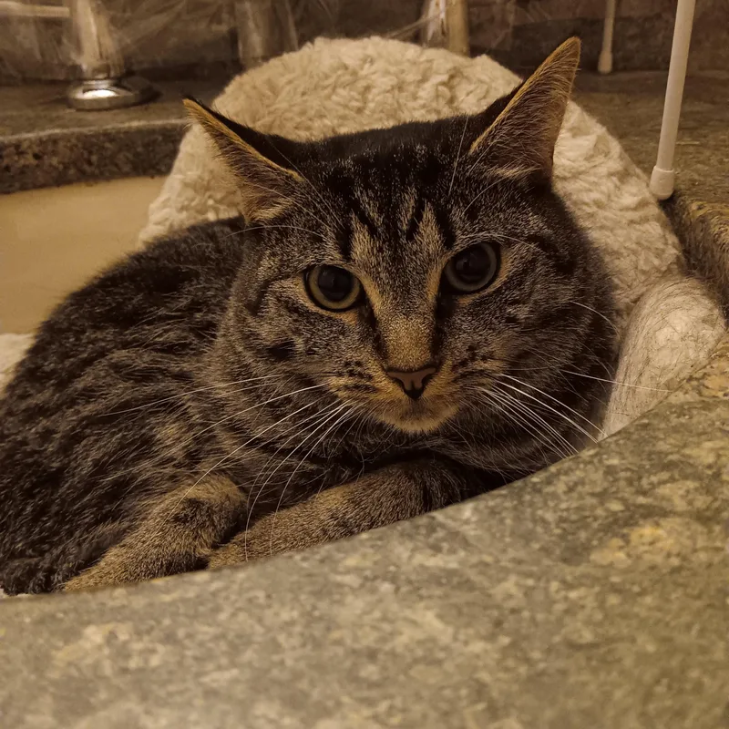 Lucy And Amber thumbnail 6