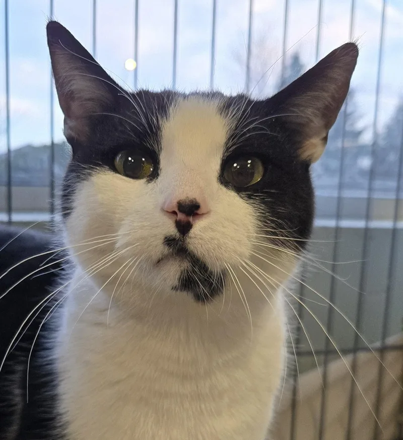 Huey & Luey thumbnail 2