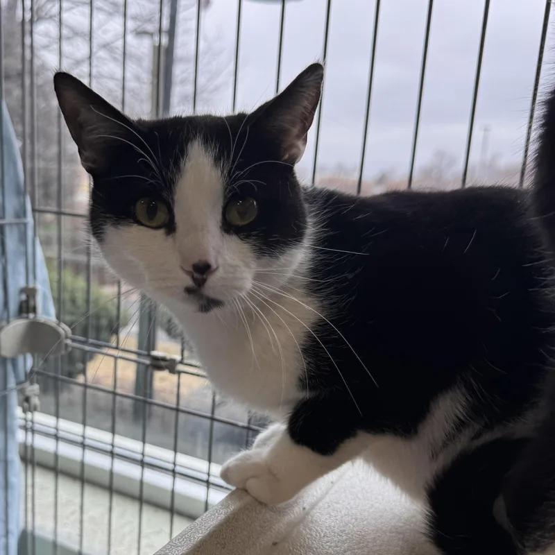 Huey & Luey thumbnail 3