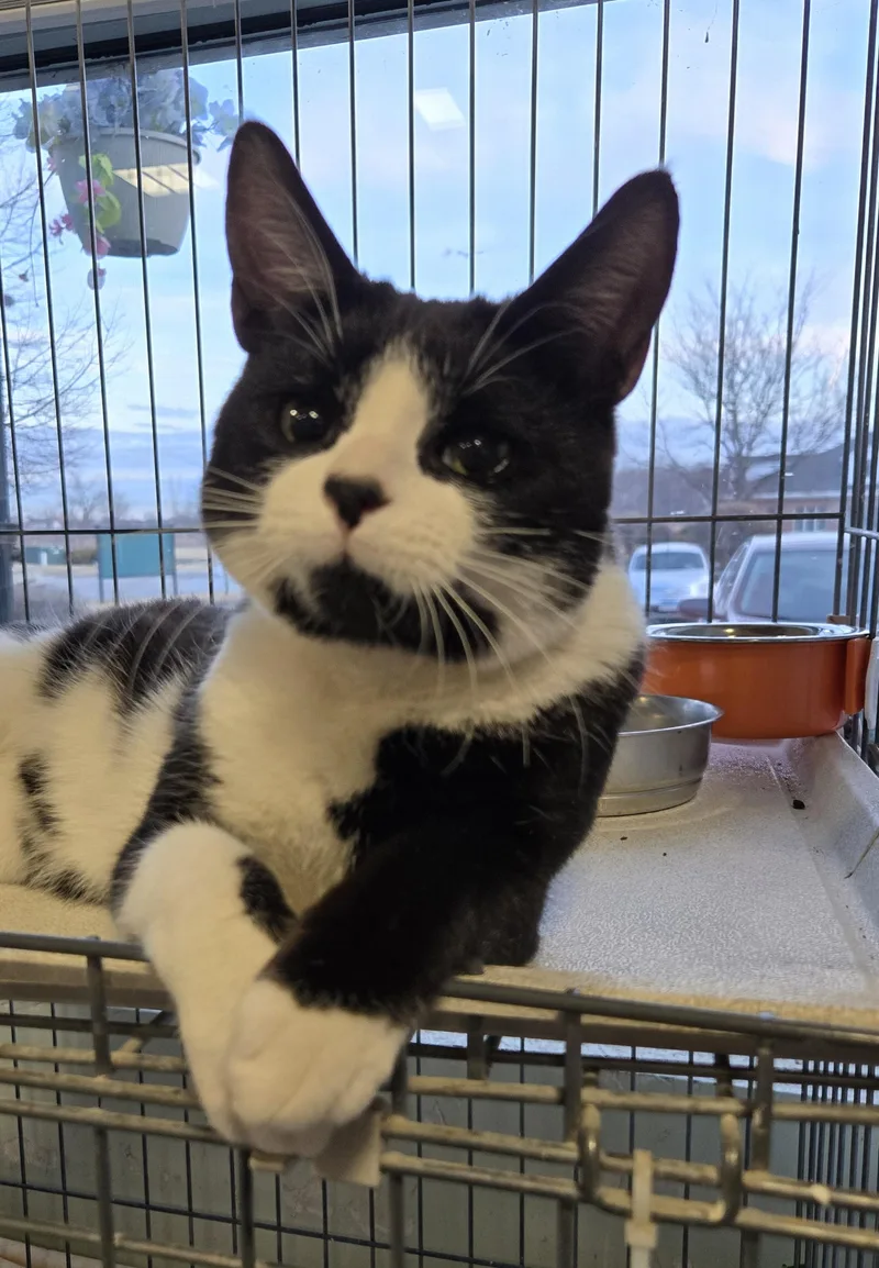 Huey & Luey thumbnail 4