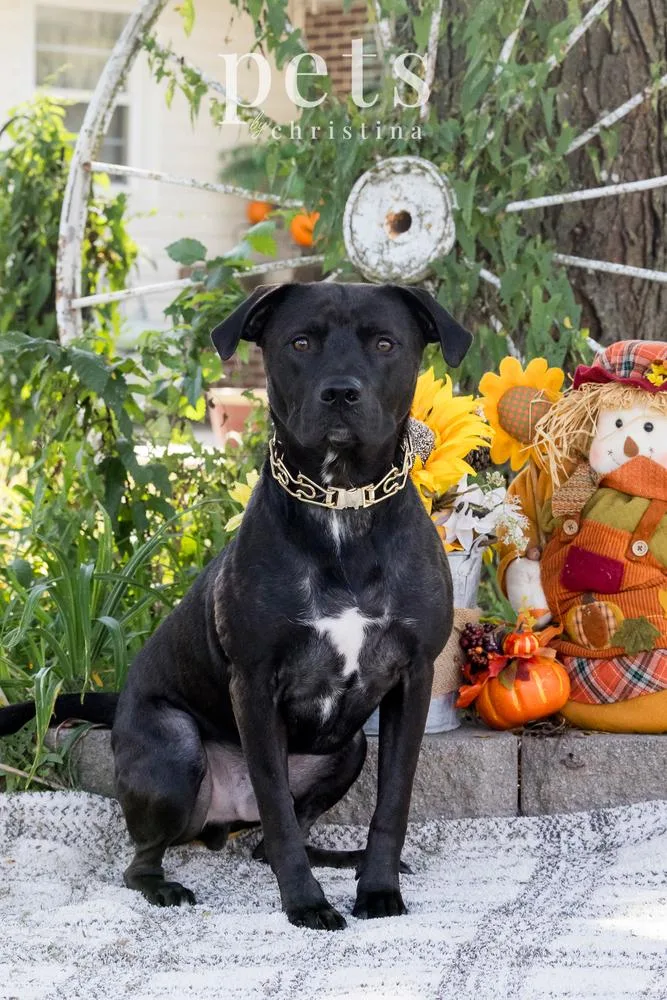 Chance Cain thumbnail 2