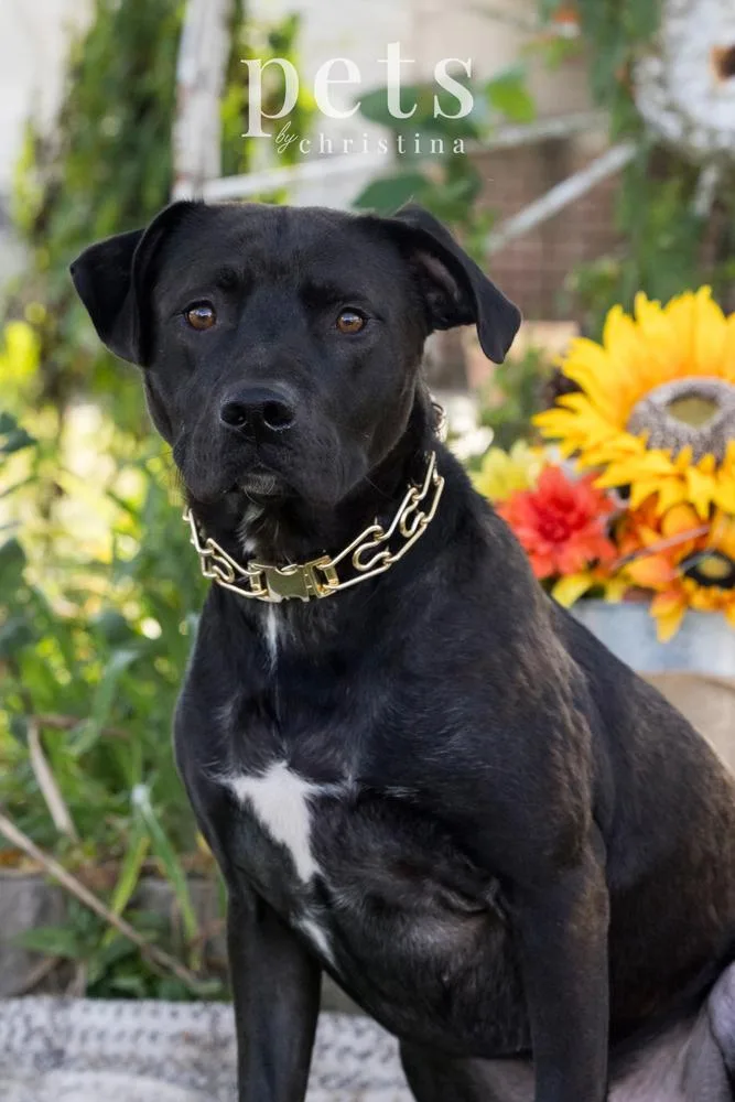 Chance Cain thumbnail 3