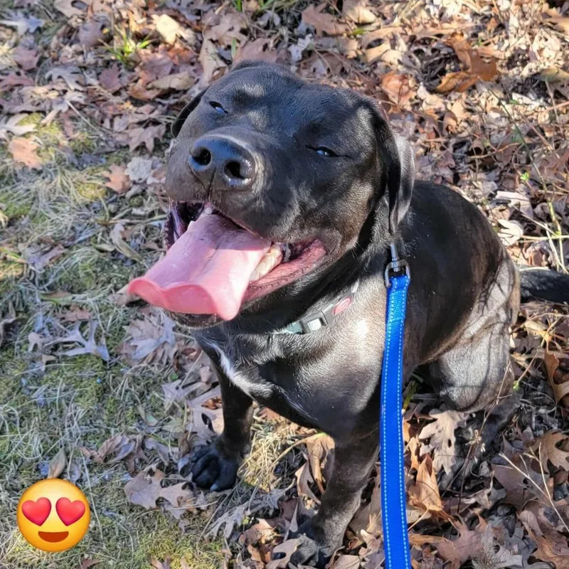 Chance Cain thumbnail 4