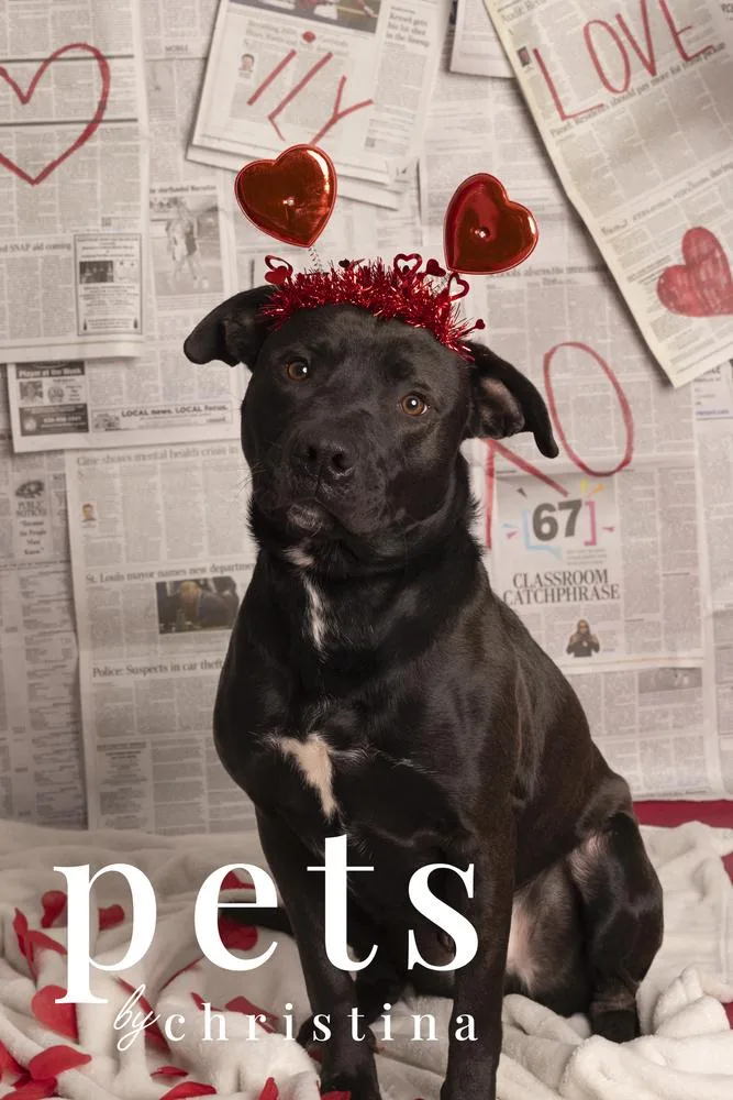 Chance Cain thumbnail 6