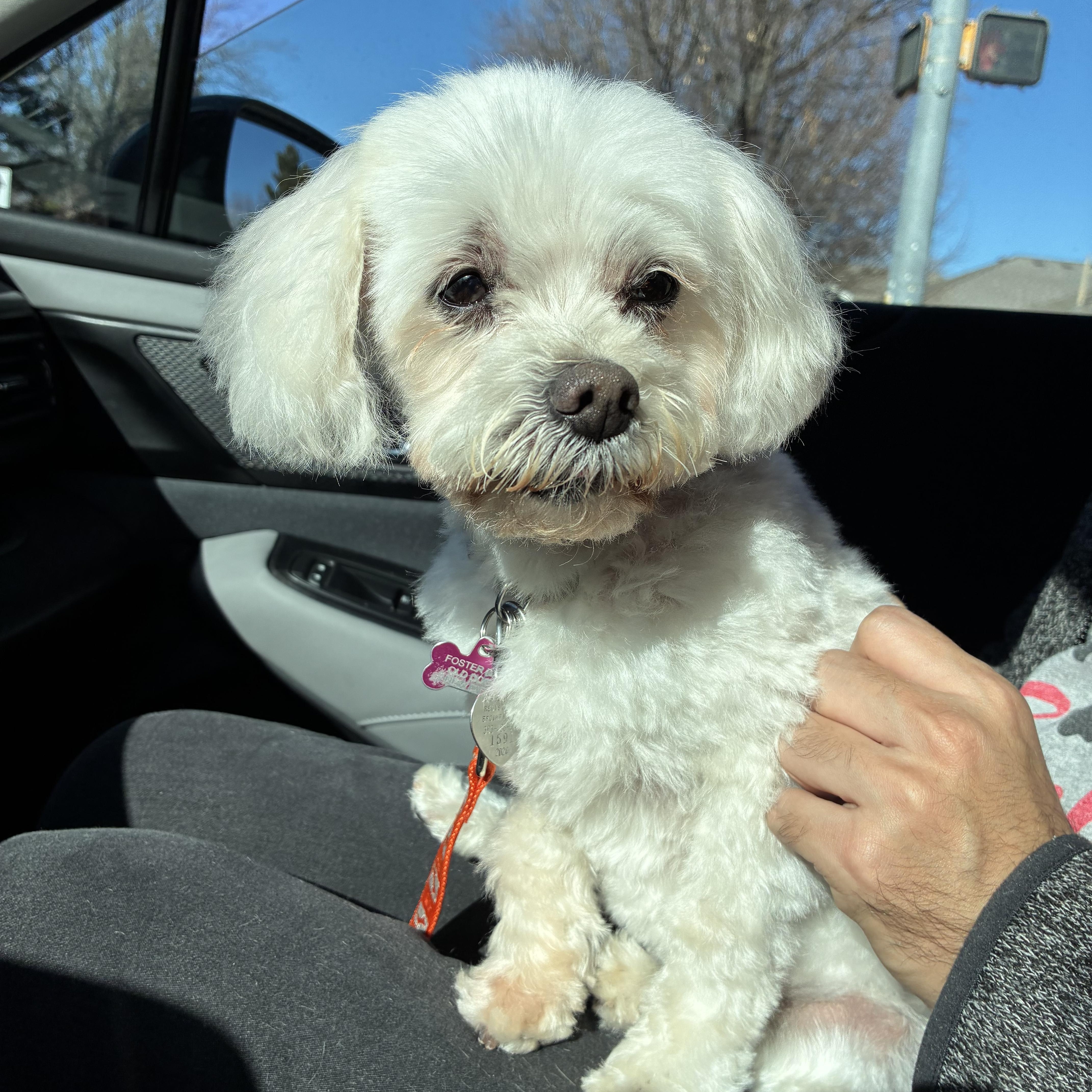 Toby In Colorado thumbnail 2