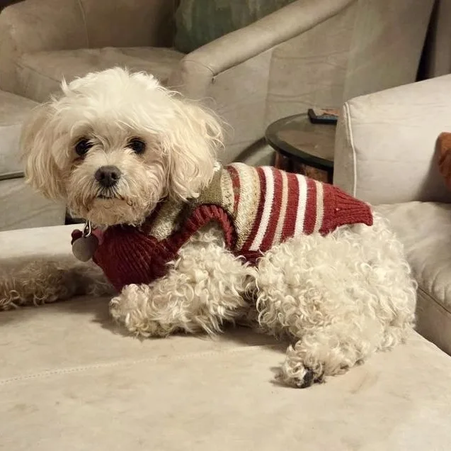 Toby In Colorado thumbnail 3