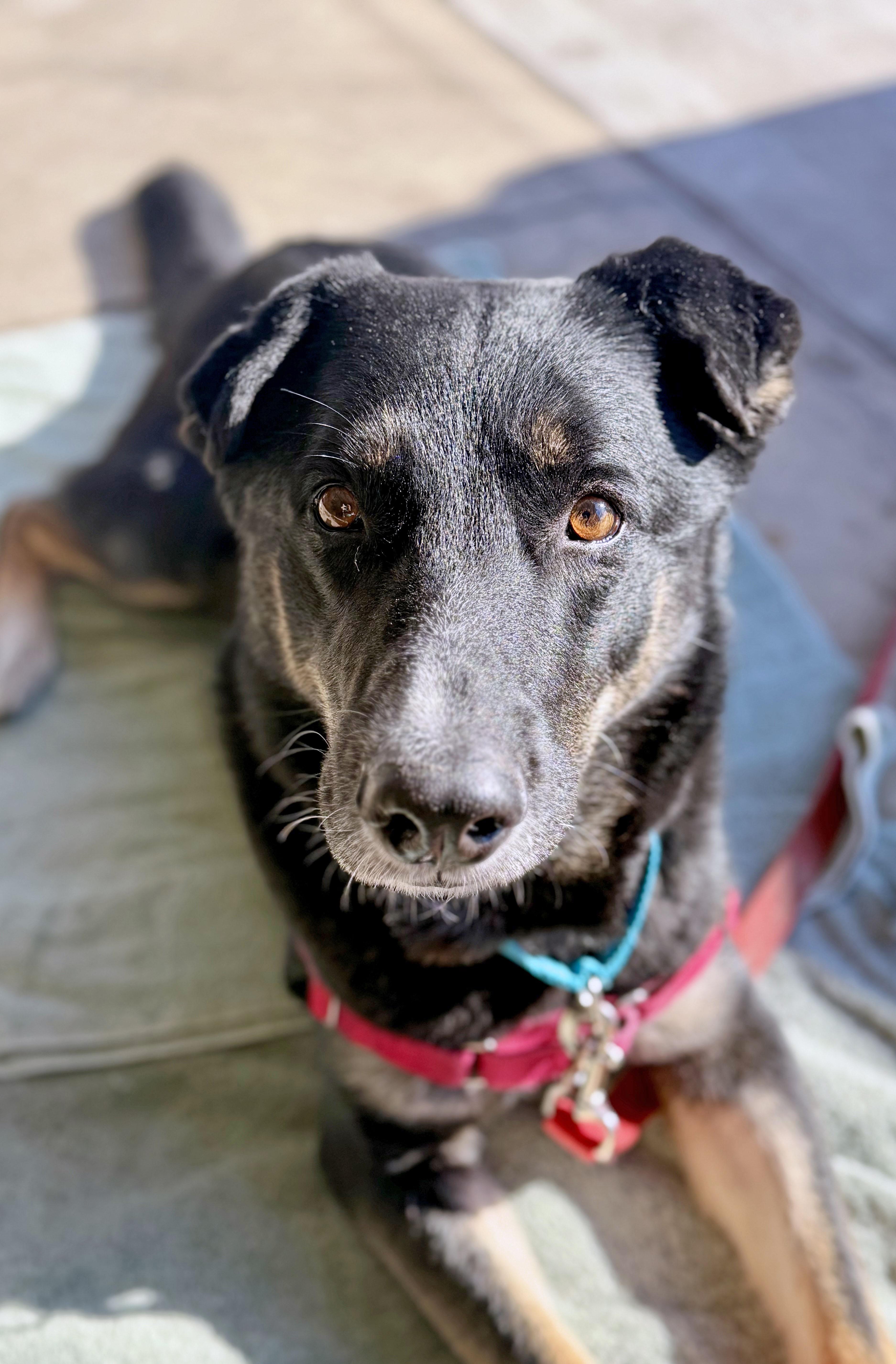 Cashsmart  Active  thumbnail 3