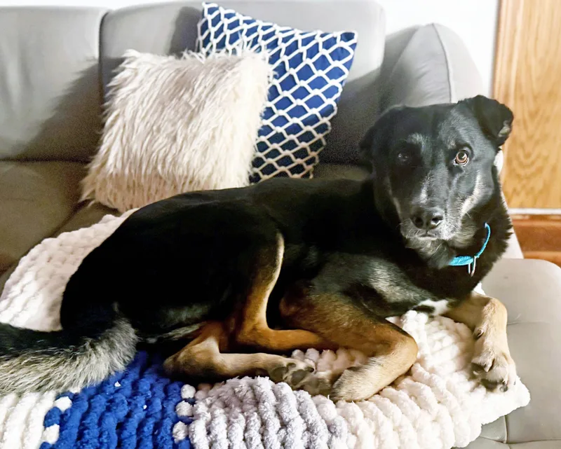 Cashsmart  Active  thumbnail 5