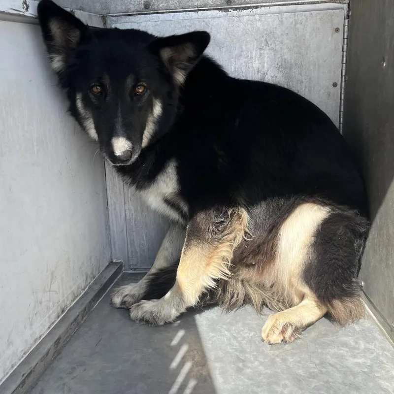 Coachella thumbnail 2