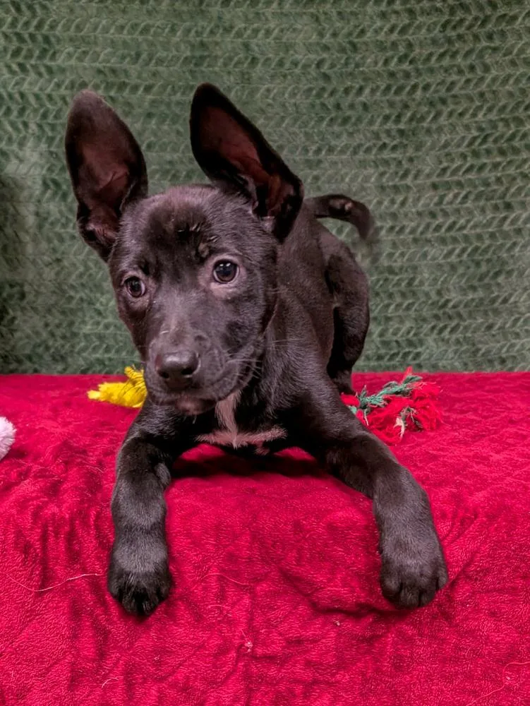 Jon Snow thumbnail 2