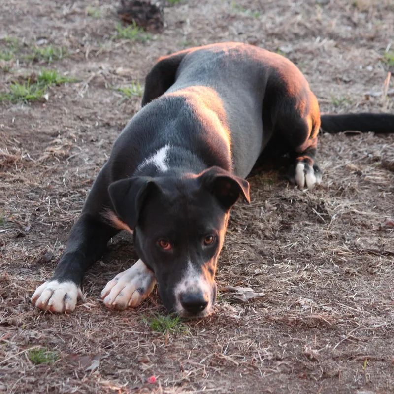 Hercules thumbnail 2