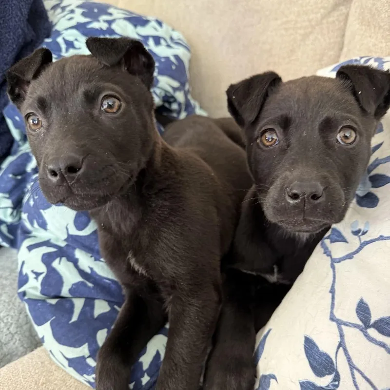 Wednesday thumbnail 2