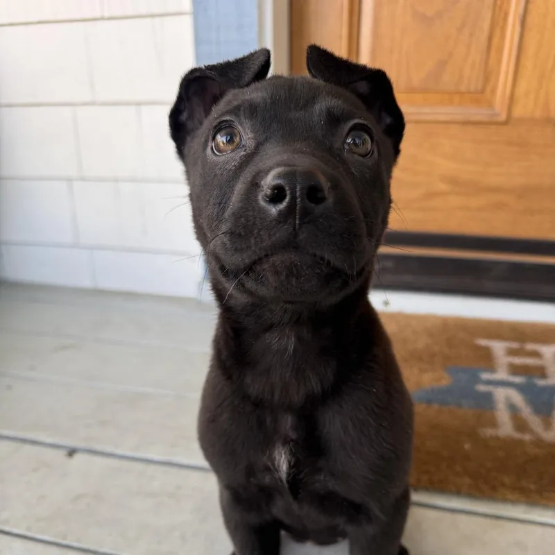 Wednesday thumbnail 3