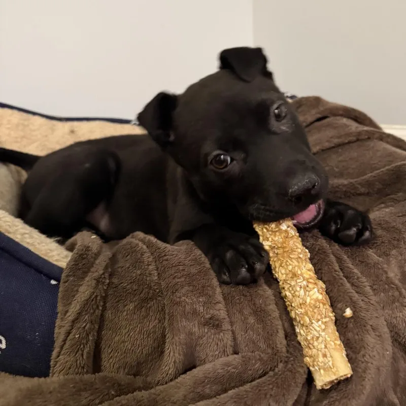 Wednesday thumbnail 5