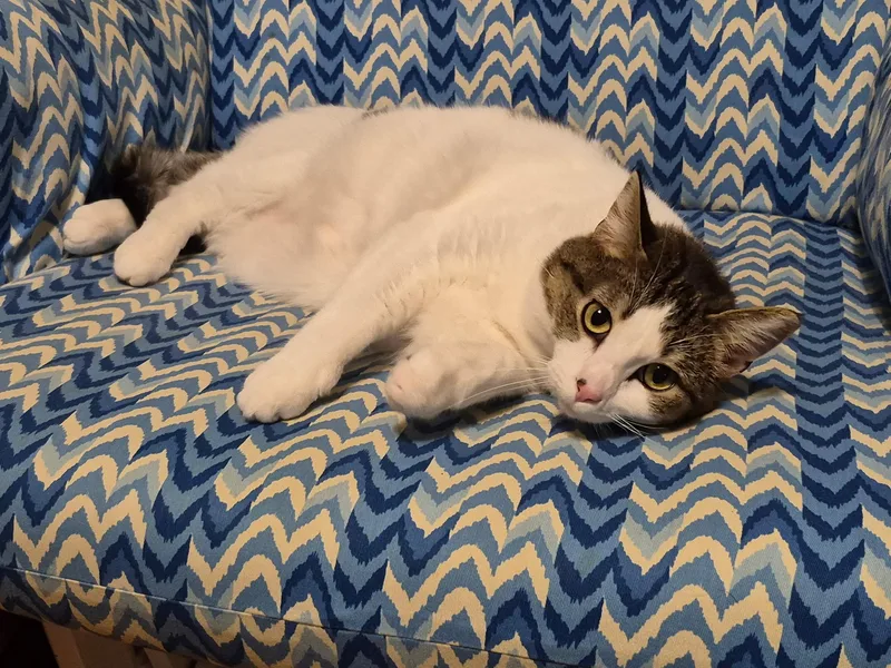 Sriracha thumbnail 2