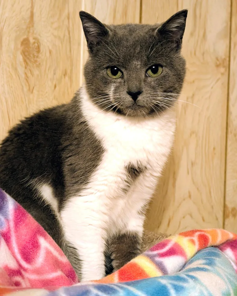 Nelson: Sweetie Pie! thumbnail 2